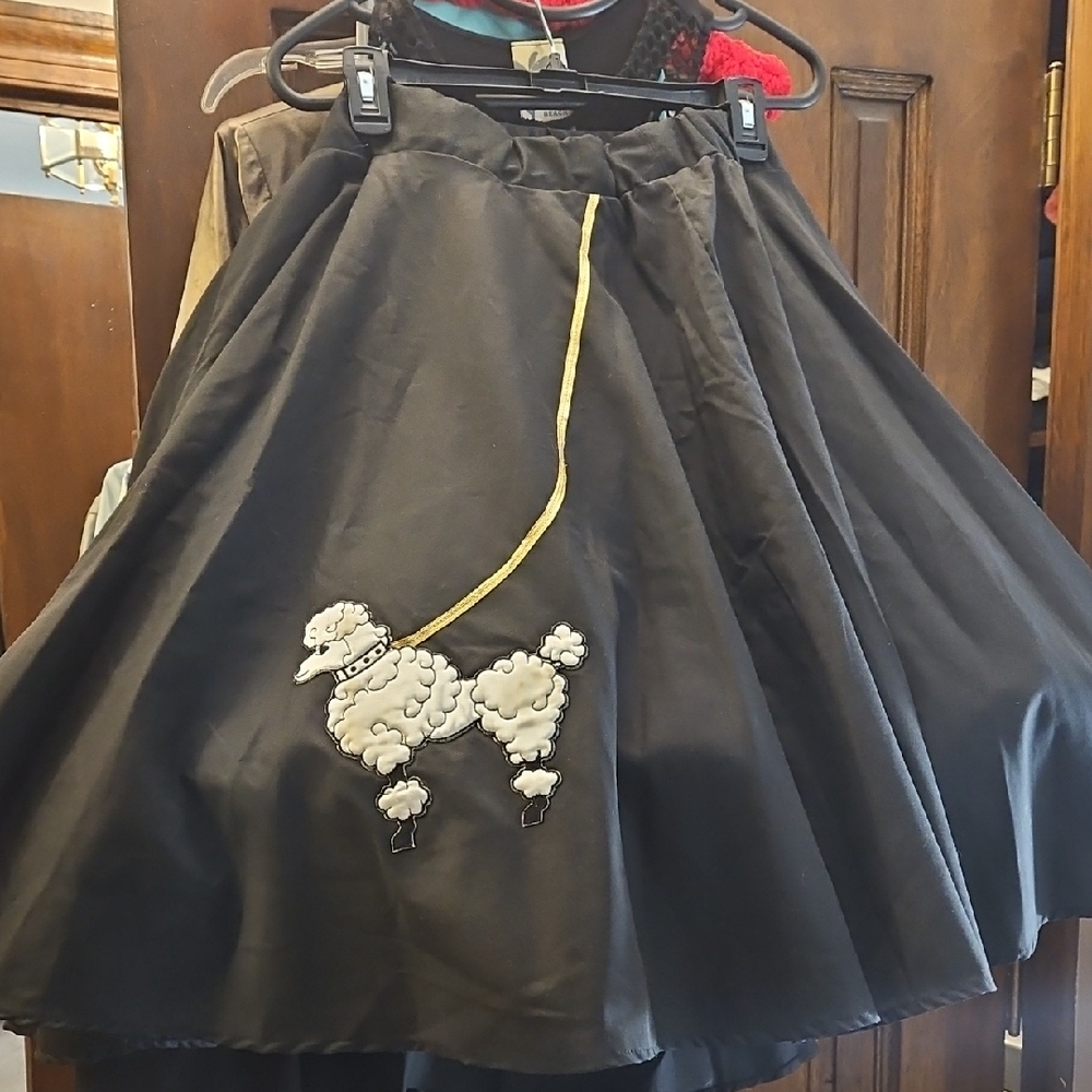 Vintage Swing Poodle Skirt And Slip
